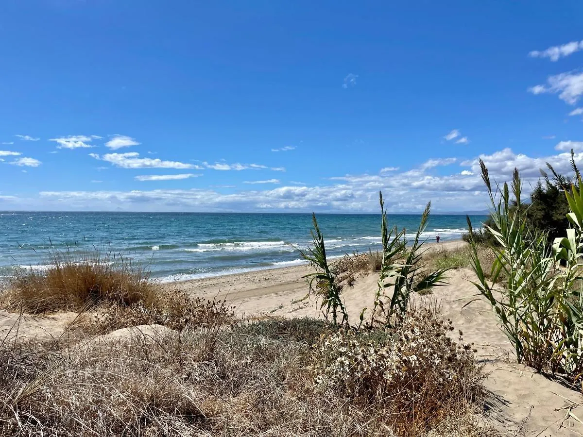 Alicate Beachfront Marbella - Eaw Homes 0*,